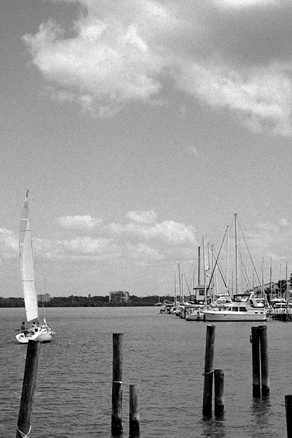 Landlocked Sailors, Pikes Marina Novel by Dave Bednar