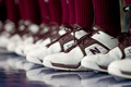 Basketball Shoes