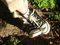 boy shoes