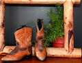 First Cowboy Boots