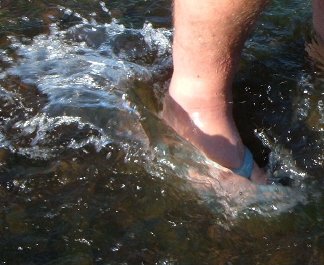 FLIP FLOP SPLASH.