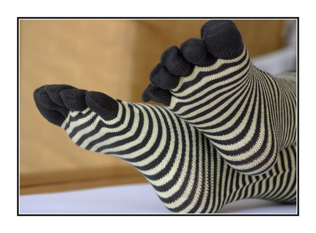 Zebra’s feet by AnneFrance - DPChallenge