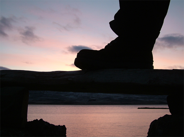 Step into a new day