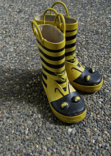 Bumble Bee Boots