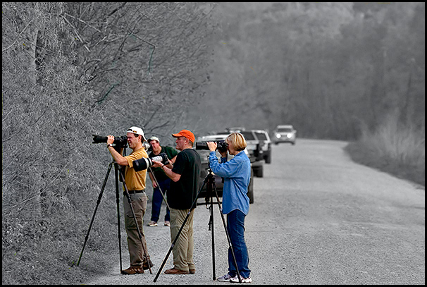 Wherever Photographers Gather