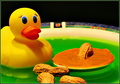 Duckbath with Snack