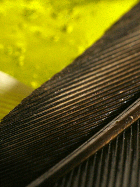 Macro Feathers and Jello