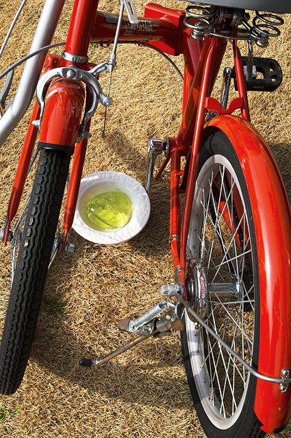 Melon Flavor and Folding Bike