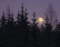 Full Moon Backlight