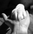 Reaching out  - "Hand vs Paw"