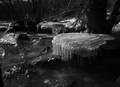 Spring runoff