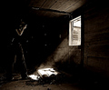 Composing The Shot