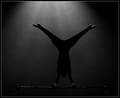 The Gymnast