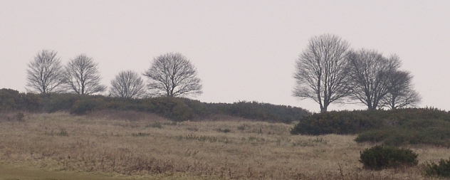 Up on the Cissbury Ring...