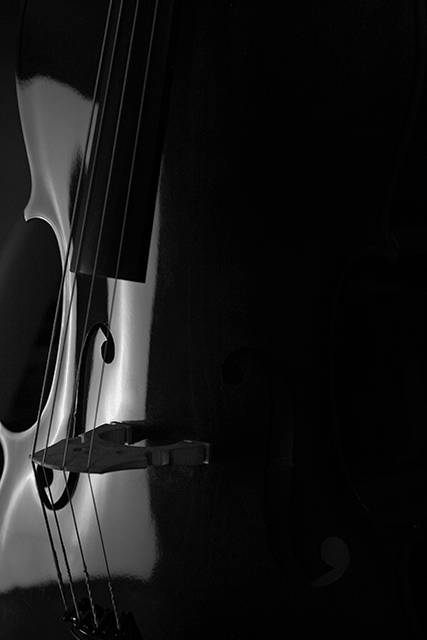 Cello in the dark