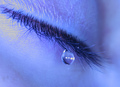 Last Tear