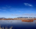 Spring Gathering at The Wetlands