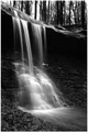 Blue Hen Falls