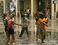 The fountain