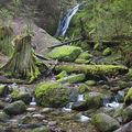 Waterfalls in the Wilderness