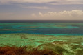 Coral Reefs in the Caribbean