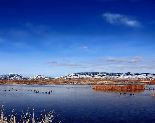 Spring Gathering at The Wetlands