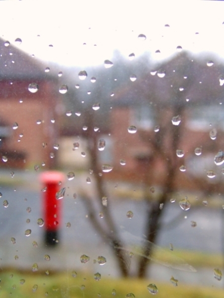 A rainy day view... (through a dirty window)