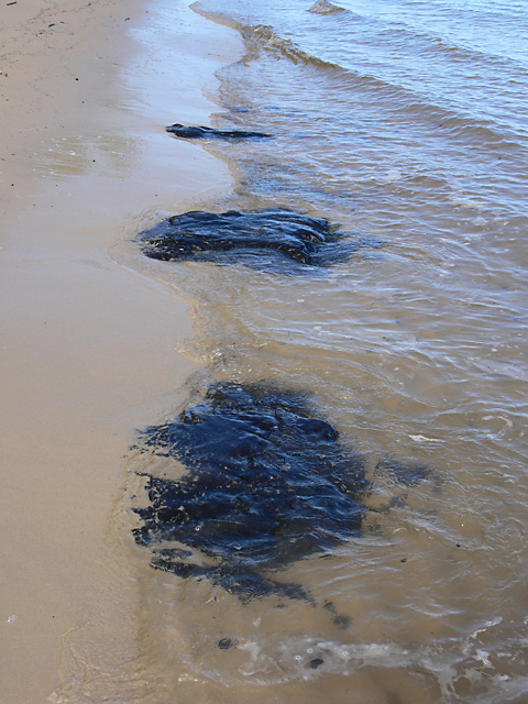 Stepping Stones