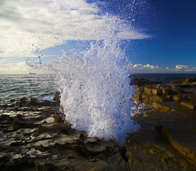 Sea Sculpture