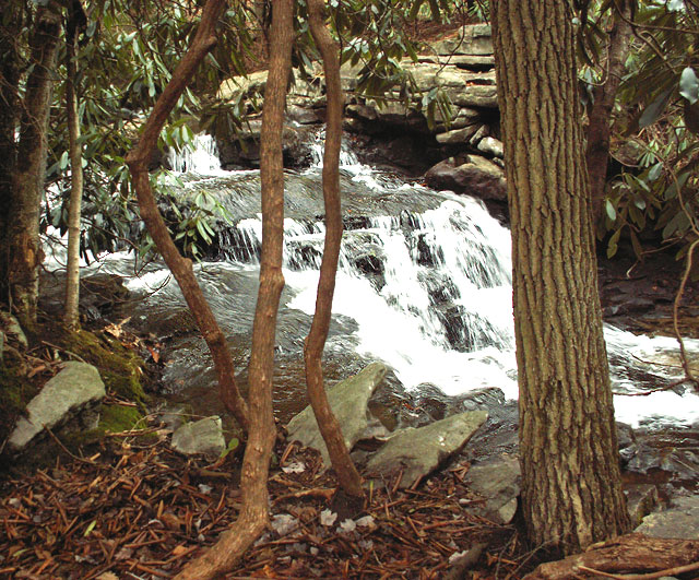 Beside the Trail