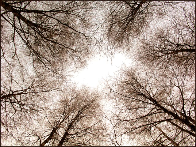 In The Middle Of The Day