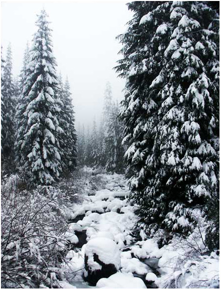 Rocky Creek