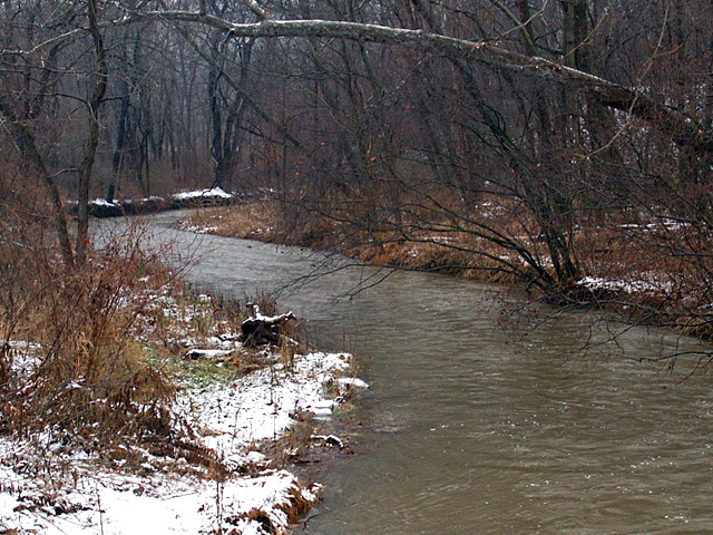 Winter Stream