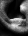 The scream