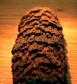 Iron Pine Cone