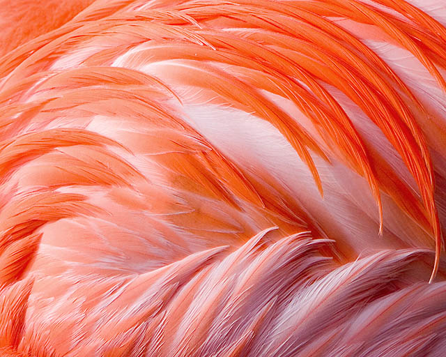 Abstract