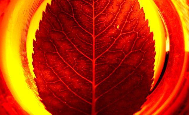 Source of life ...