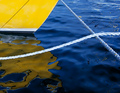 Waterlines