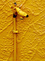  The Old Yellow Tap