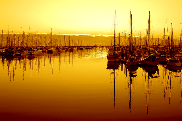 Harbour Sunrise