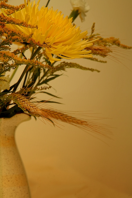 Yellow and Gold