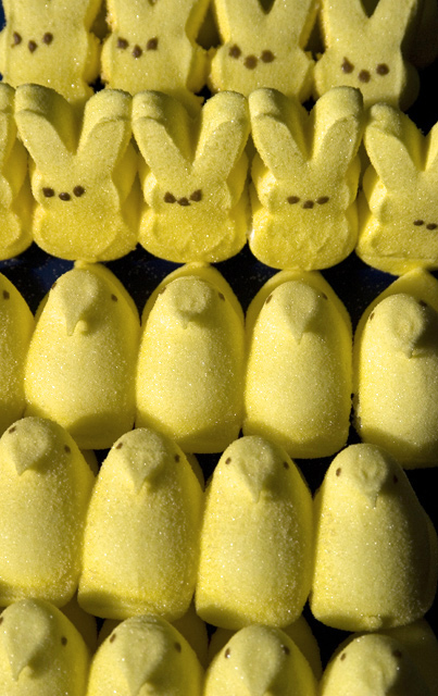 Invasion of the Peeps