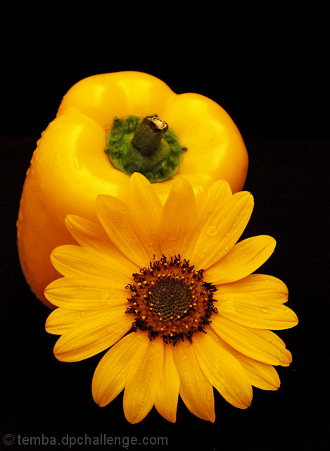 Sunkissed Yellow Cap