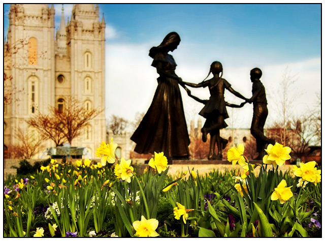 Playtime in the Daffodils