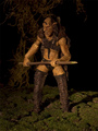the lost warrior