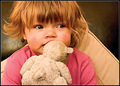 Favourite Teddy Bear
