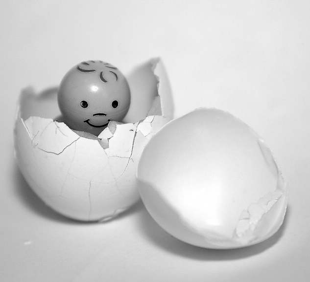 Hatch