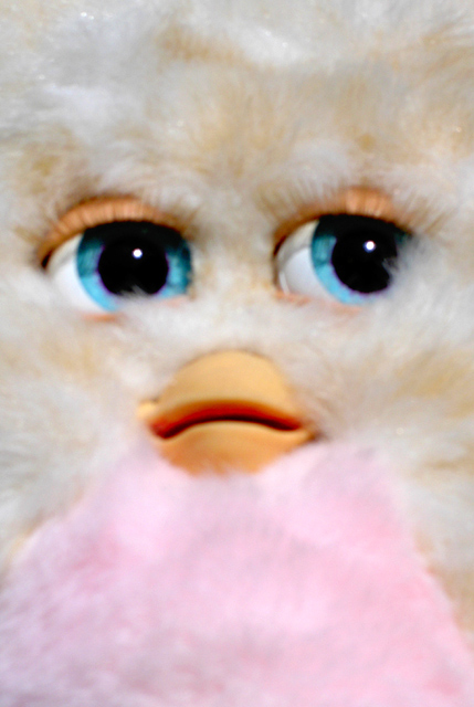 Furby's gonna get ya!!!!