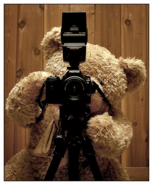 The Teddy Bear's Pic-click