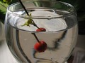 refraction